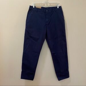 Patagonia Stretch All Wear Cropped Pants Size 8